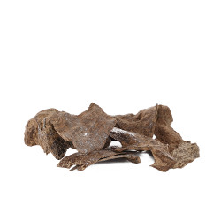 Gar Super Vietnami - 12 Gram    