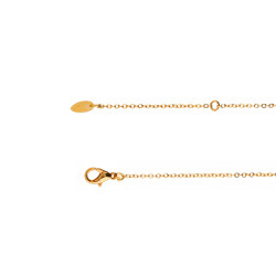 Gold plated Zircon Necklace - Arabic letter Mim