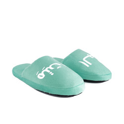Home Slipper - Green
