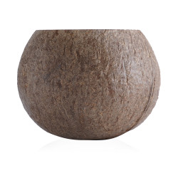 Coconut Shell Candle