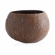 Vanilla Coconut Shell Candle