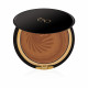 Color Perfection Compact Make Up - N 02