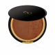 Shiny Bronzing Powder