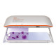 Uvc Led Mini Portable Sterilizer X1 For Mask And Phone Uvc Led Mini Portable Sterilizer X1 For Mask And Phone