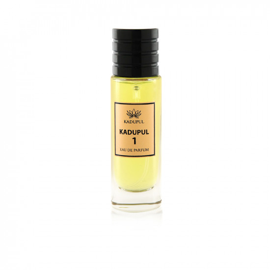 Hair Mist - N 01 -  30 Ml