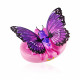 Little Live Pets Lil Butterfly - Star Wings - Age 5+ Little Live Pets Lil Butterfly - Star Wings - Age 5+