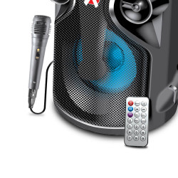 Rechargeable Sugar-40 Speaker