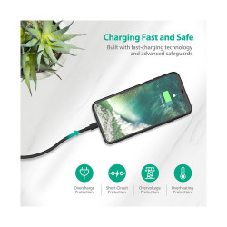 RP-CB030 1m Charge & Sync Lightning Cable - Black 