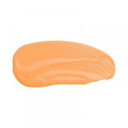 Fluid Full Foundation - N 227 - Praline