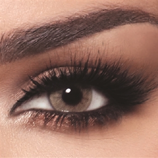Contact Lenses One Day Hazel Beige Daily Contact Lenses One Day Hazel Beige Daily